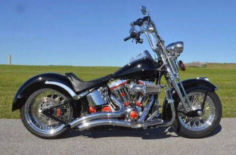 2002 Harley-Davidson FLSTS Heritage Springer