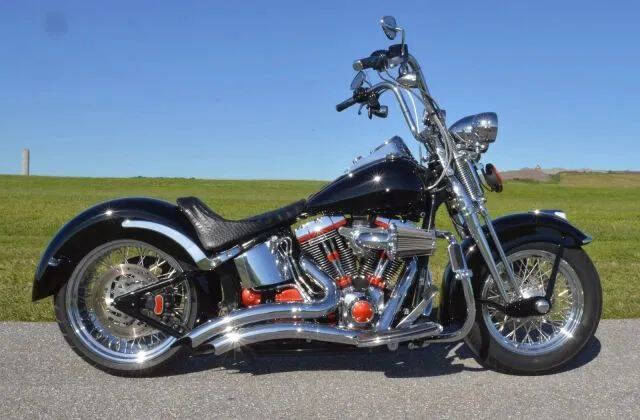 2002 Harley-Davidson FLSTS Heritage Springer