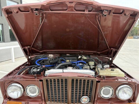 1981 Jeep Wagoneer Limited