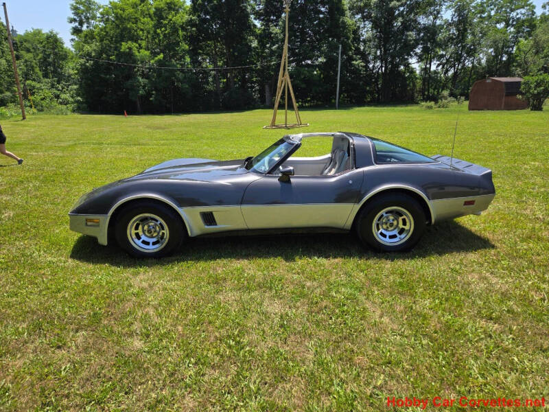1981 Chevrolet Corvette