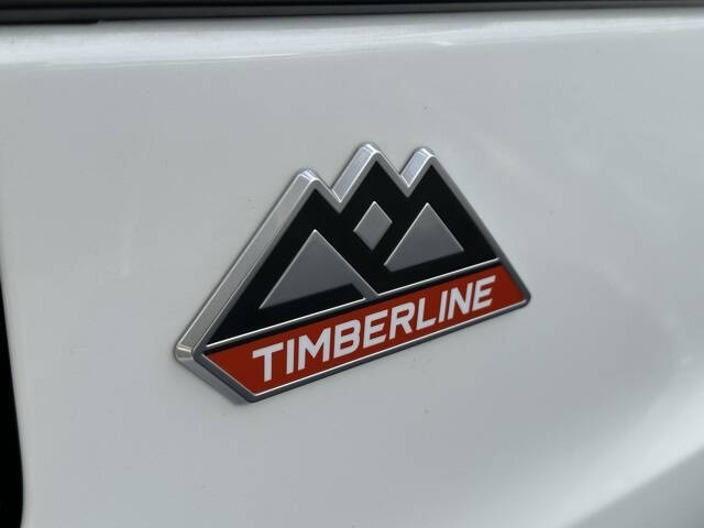 2024 Ford Expedition Timberline