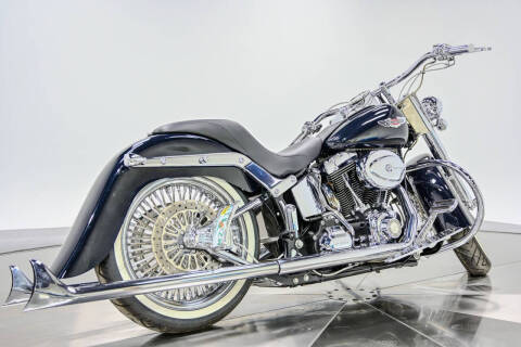 2009 Harley-Davidson FLTSN