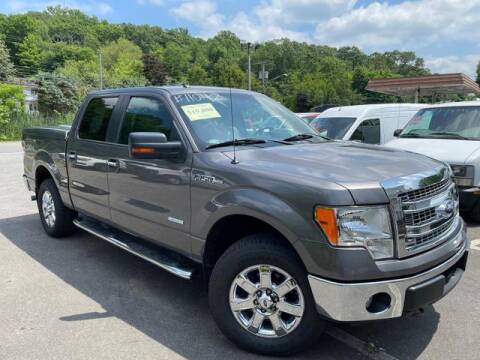 2013 Ford F-150 for sale at Vans Vans Vans INC in Blauvelt NY