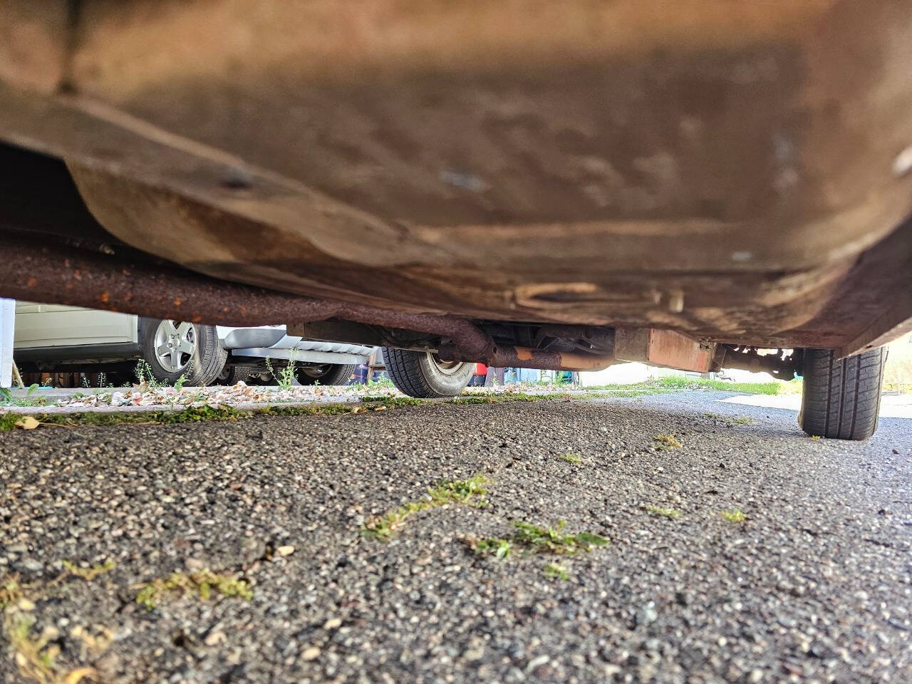 1964 Ford Mustang 202