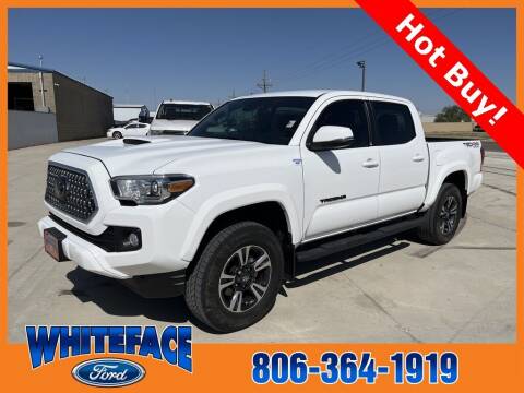 2019 Toyota Tacoma for sale at Whiteface Ford in Hereford TX