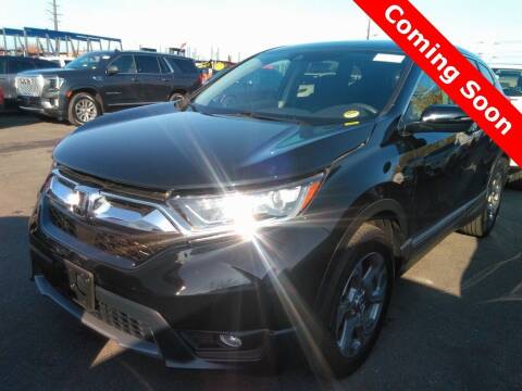 2019 Honda CR-V for sale at INDY AUTO MAN in Indianapolis IN