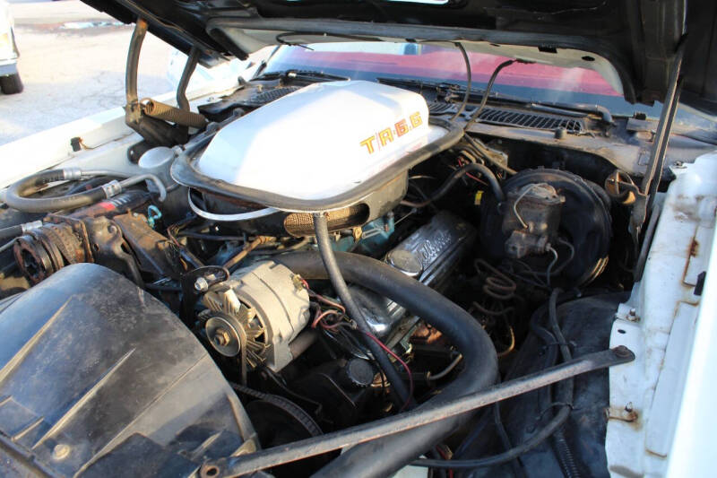 1979 Pontiac Firebird