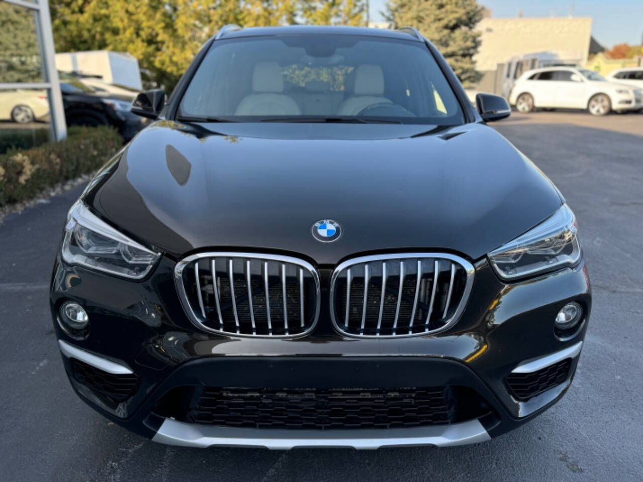 2016 BMW X1 for sale at Opus Motorcars in Utica, MI