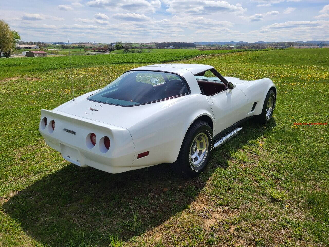 1981 Chevrolet Corvette 5