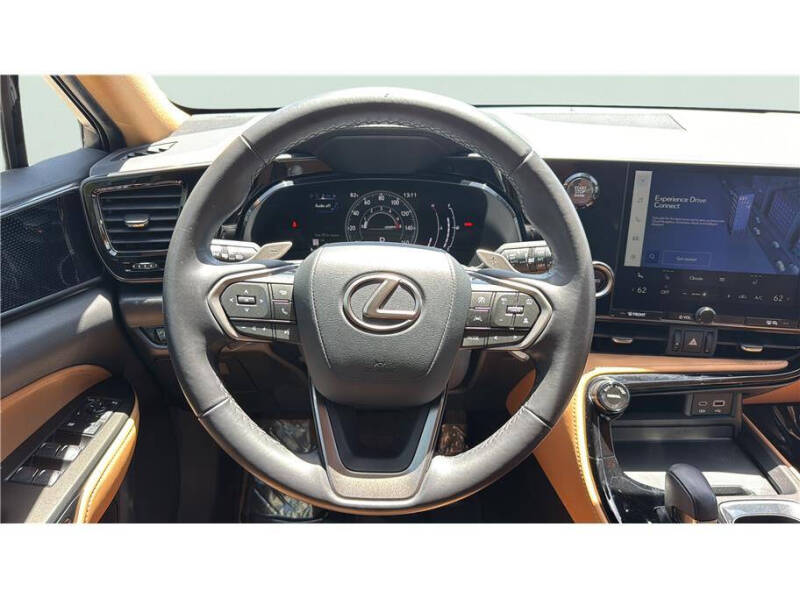 2025 Lexus NX 250