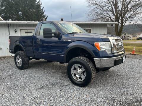 2010 Ford F-150 for sale at Young's Automotive LLC in Stillwater PA