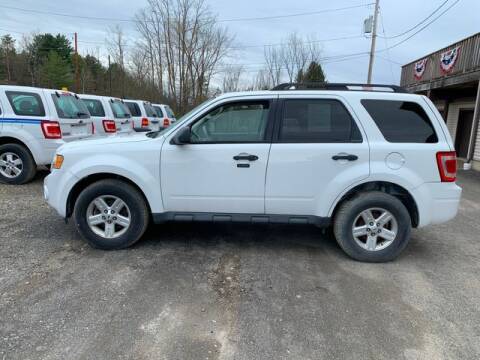 2010 Ford Escape Hybrid for sale at Upstate Auto Sales Inc. in Pittstown NY