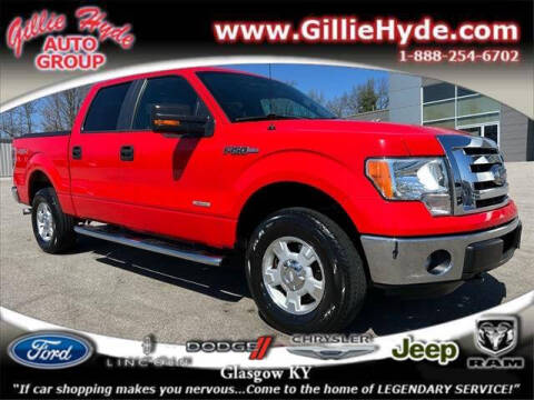 2011 Ford F-150 for sale at Gillie Hyde Auto Group in Glasgow KY