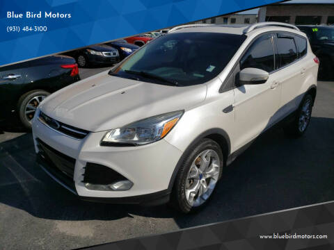 2014 Ford Escape for sale at Blue Bird Motors in Crossville TN