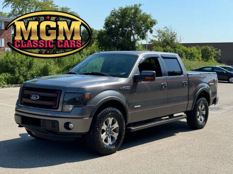 2013 Ford F-150 for sale at MGM CLASSIC CARS in Addison IL