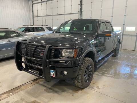 2012 Ford F-150 for sale at RDJ Auto Sales in Kerkhoven MN