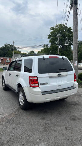 2011 Ford Escape XLT