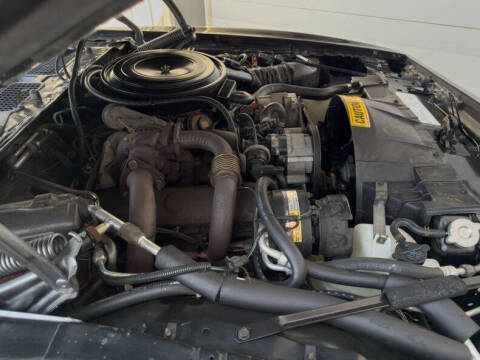 1981 Pontiac Firebird Trans Am