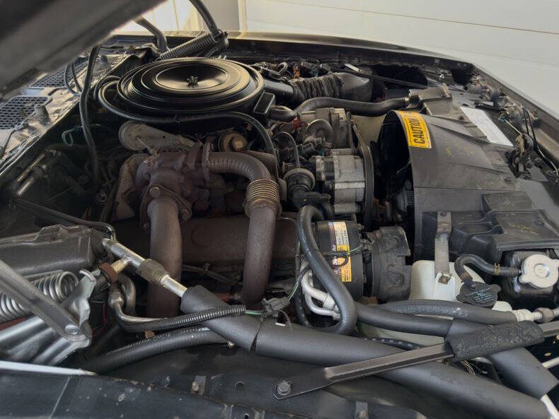 1981 Pontiac Firebird Trans Am