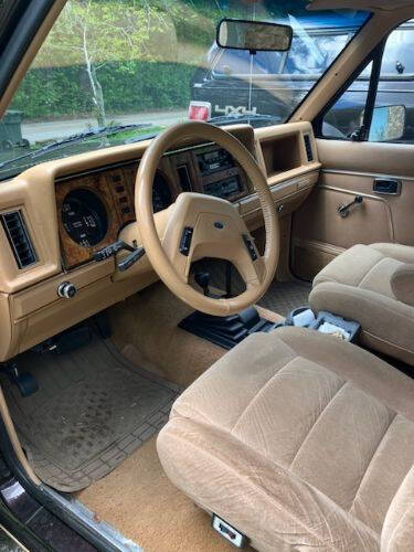 1985 Ford Bronco