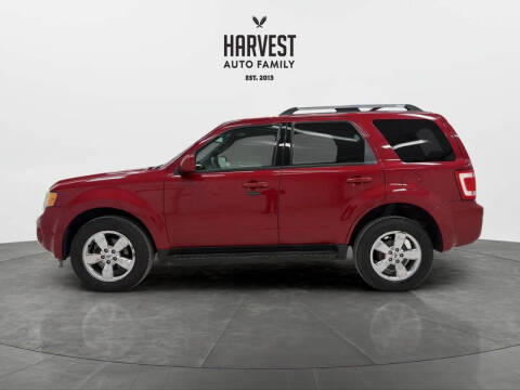 2011 Ford Escape Limited