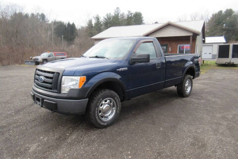 2011 Ford F-150 for sale at Clearwater Motor Car in Jamestown NY