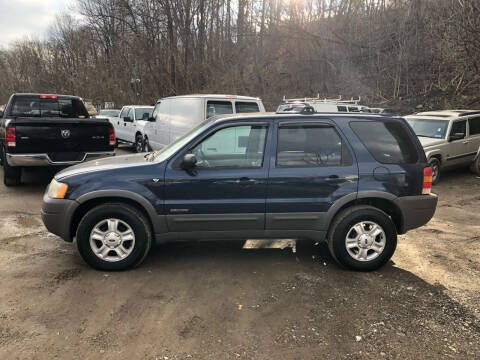 2002 Ford Escape for sale at Compact Cars of Pittsburgh in Pittsburgh PA
