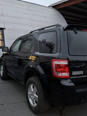 2011 Ford Escape XLT