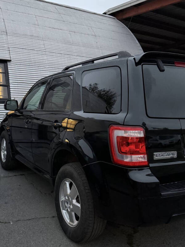 2011 Ford Escape XLT