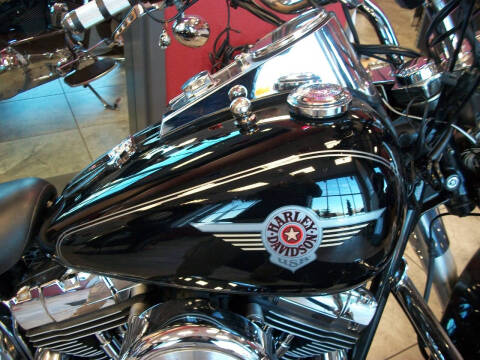 2004 Harley-Davidson FLSTF FATBOY