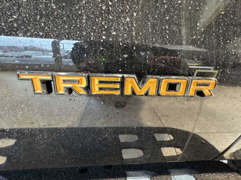 2025 Ford Expedition Tremor