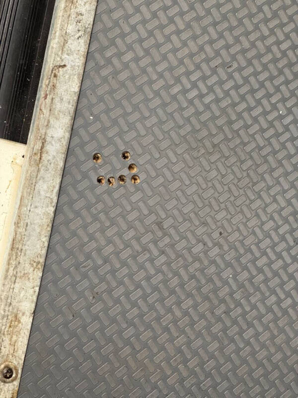 1991 Volkswagen Vanagon GL Camper