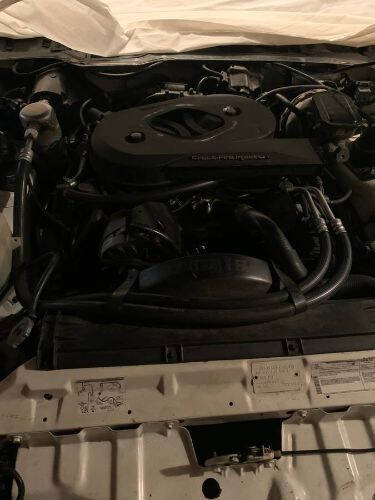 1983 Pontiac Firebird Trans Am