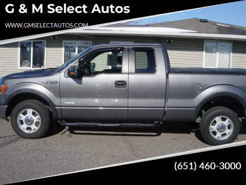 2014 Ford F-150 for sale at G & M Select Autos in Farmington MN