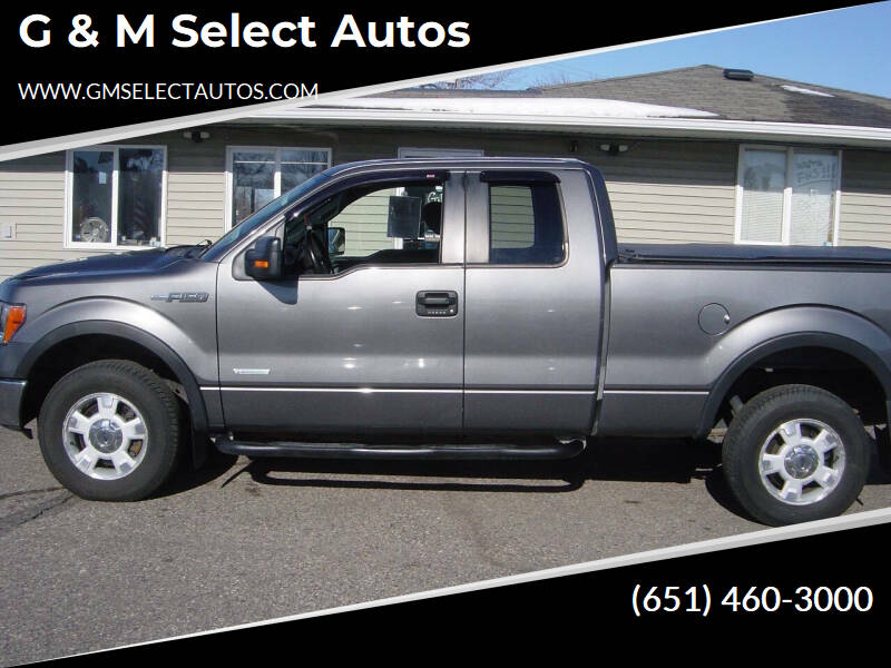 2014 Ford F-150 for sale at G & M Select Autos in Farmington MN