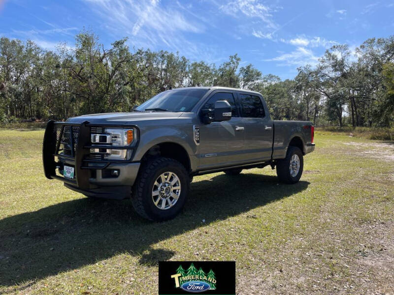 2019 Ford F-350 Super Duty for sale at TIMBERLAND FORD in Perry FL