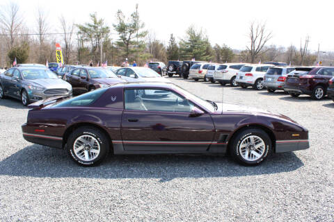 1985 Pontiac Firebird Trans Am