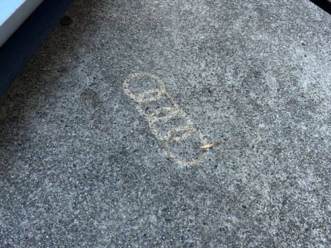 2019 Audi A5 Sportback quattro Prestige 45 TFSI