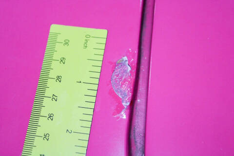 1968 Plymouth Roadrunner