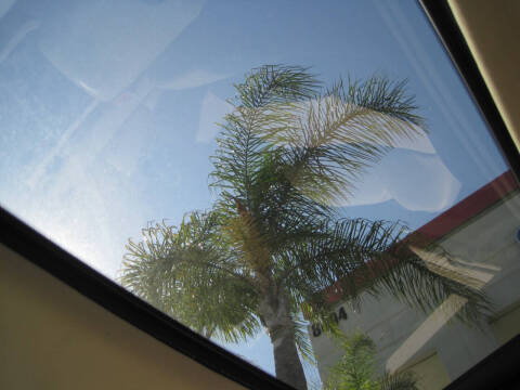 2010 Acura TSX w/Tech