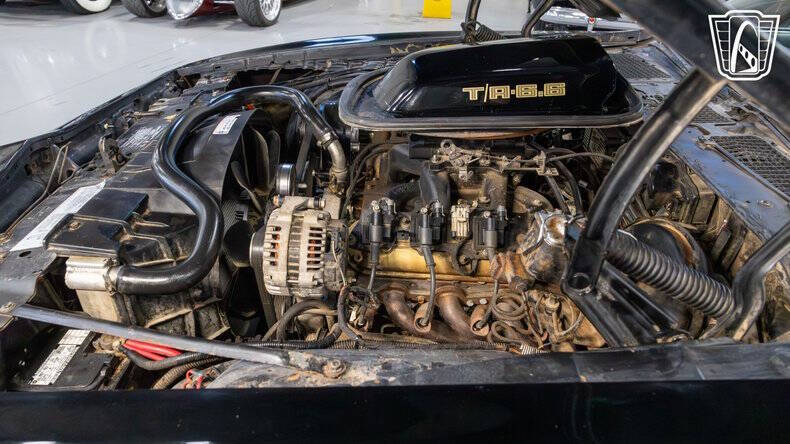 1979 Pontiac Trans Am