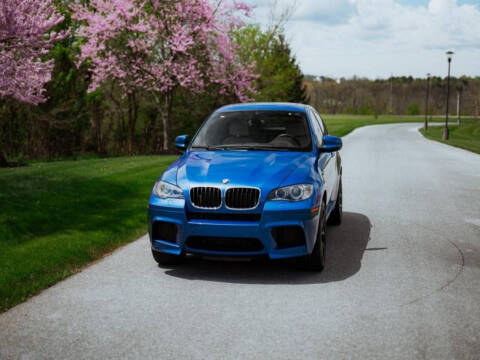 2010 BMW X6 M