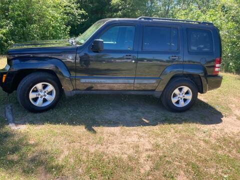 2009 Jeep Liberty for sale at Expressway Auto Auction in Howard City MI