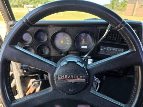 1981 Chevrolet C/K 10 Series