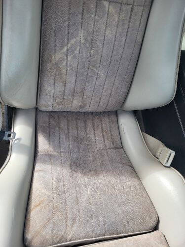 1983 Pontiac Firebird Trans Am