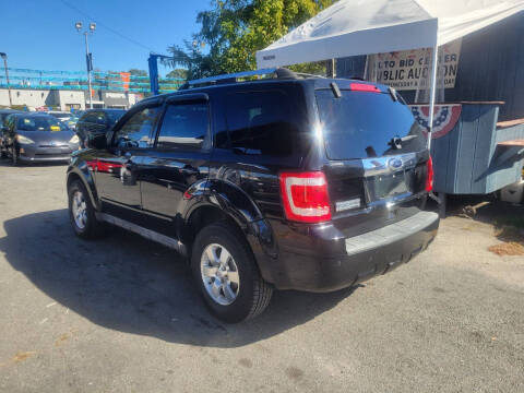 2010 Ford Escape Limited