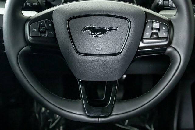 2023 Ford Mustang Mach-E California Route 1