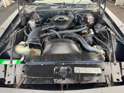 1979 Pontiac Firebird