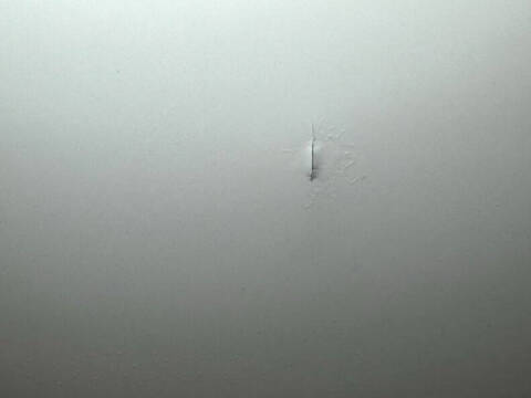 1977 Volkswagen Super Beetle