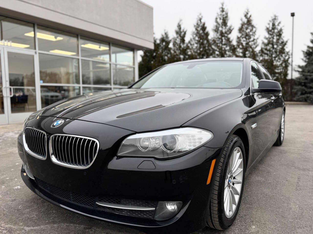 2013 BMW 5 Series for sale at Opus Motorcars in Utica, MI